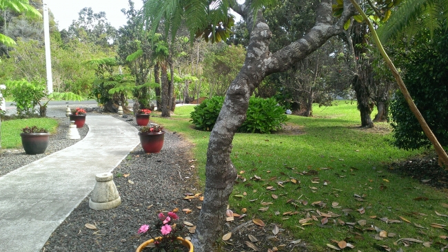 Elepaio Room