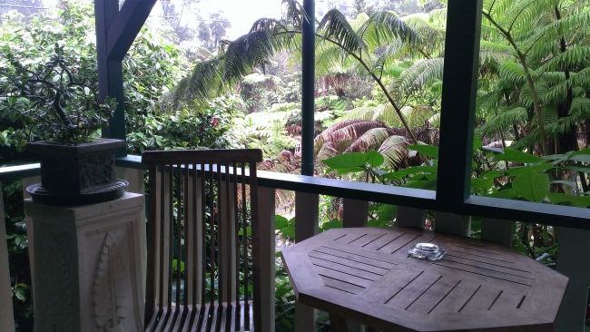 Africa Room