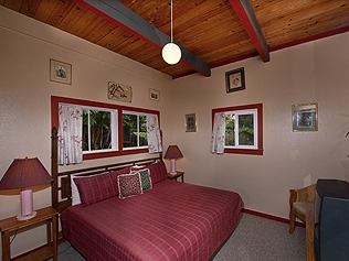 Elepaio Room