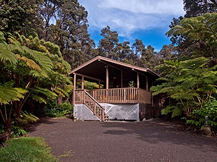 Hapu`u Forest Bungalow