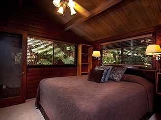 Hapu`u Forest Bungalow