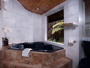 Hapu`u Forest Bungalow
