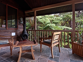 Hapu`u Forest Bungalow