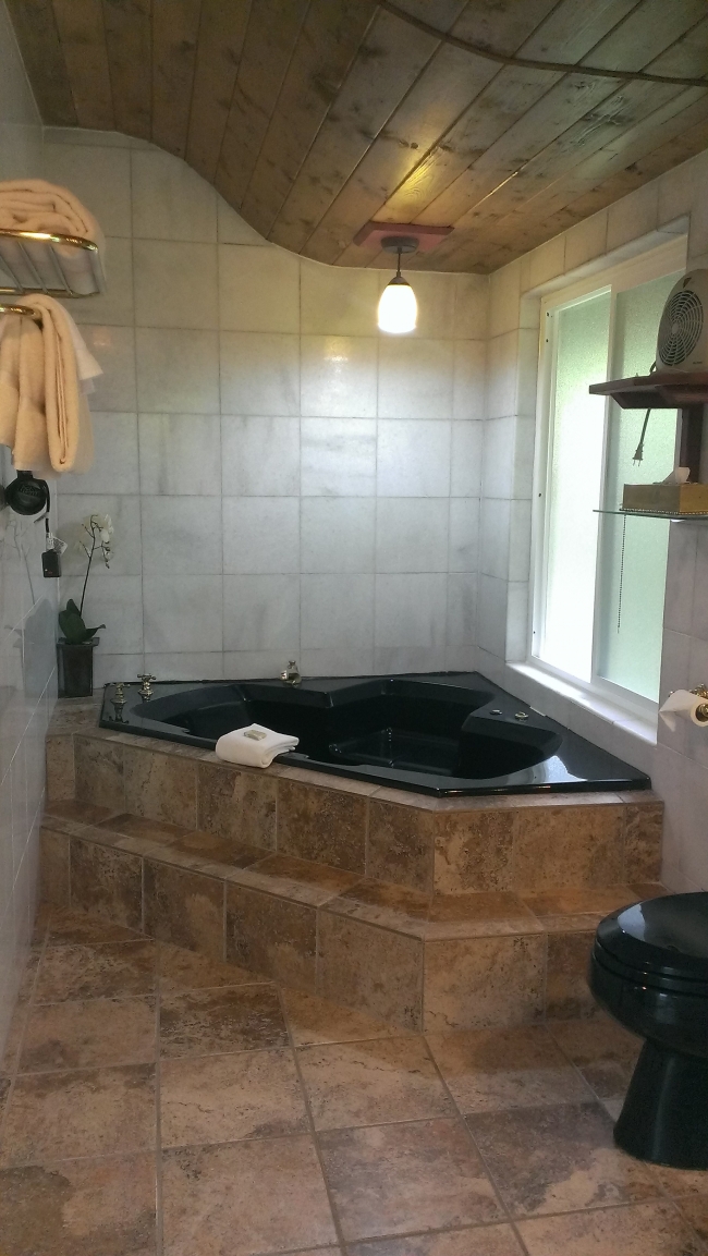 Hapu`u Forest Bungalow