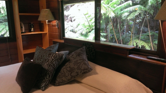 Hapu`u Forest Bungalow
