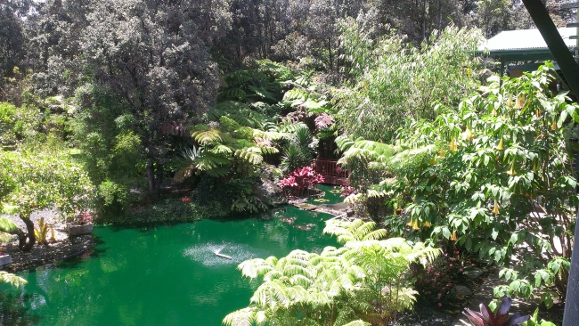 Jade Room
