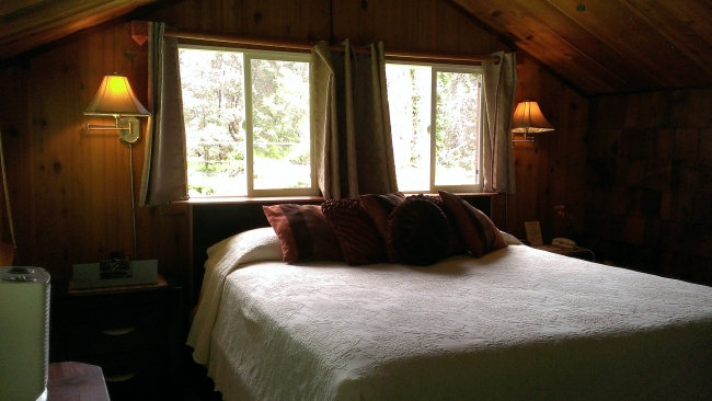 Treehouse Suite