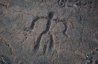 Puako Petroglyph Archaeological Preserve