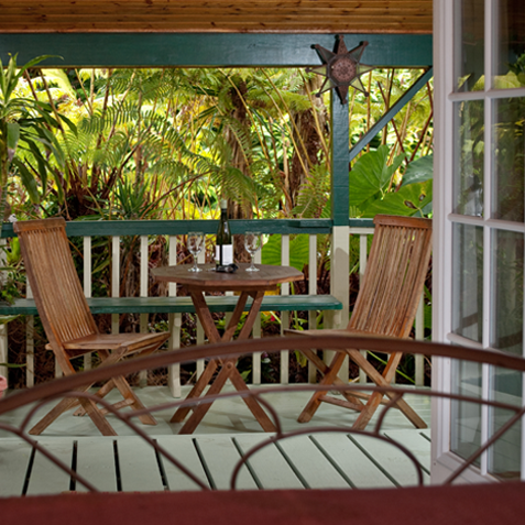 View All Accommodations