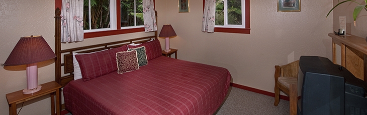 Volcano Village Lodging. Elepaio room at Volcano Hale.